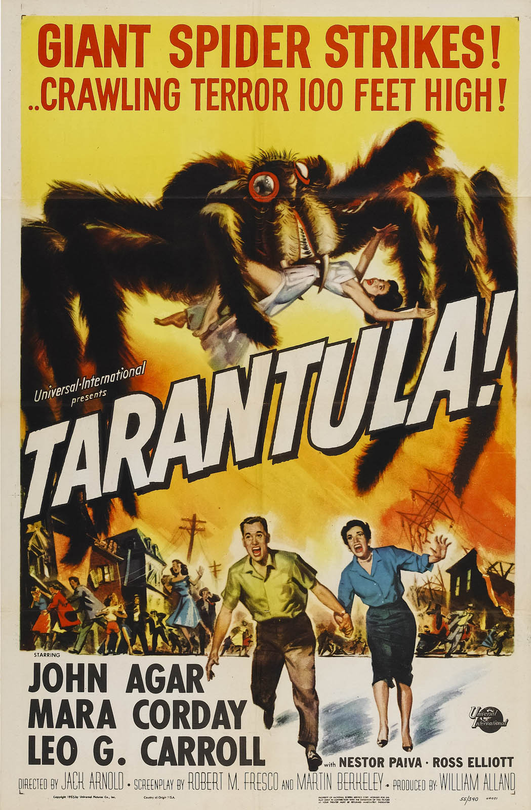 TARANTULA!